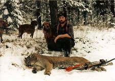 A nice lion taken with a bow